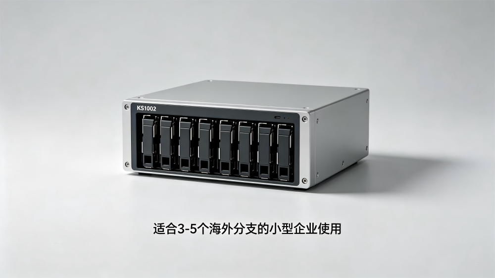 KS3000跨境加速服务器